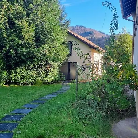 L'abri Des Renards Holiday home Liepvre